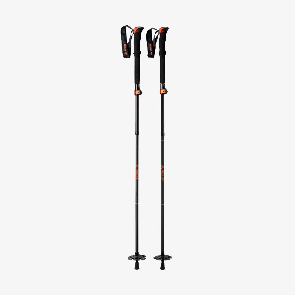 profile rider Union Aluminum Touring Poles